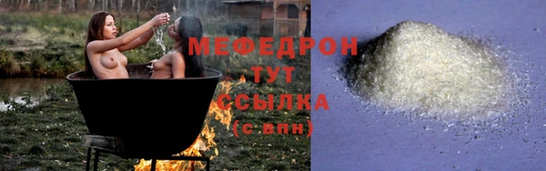 индика Абаза
