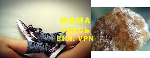 индика Абаза