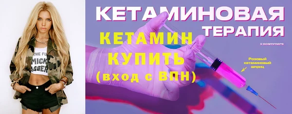 стаф Пересвет