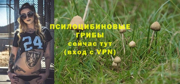 метадон Абинск