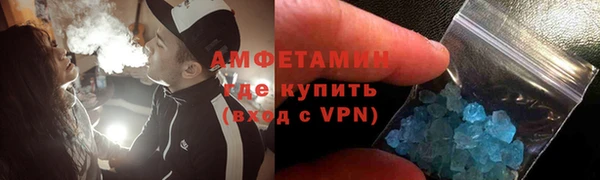 индика Абаза
