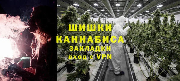 стаф Пересвет