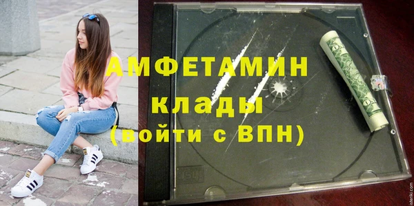 индика Абаза