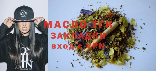 индика Абаза