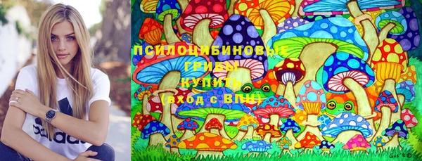 индика Абаза