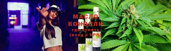 индика Абаза