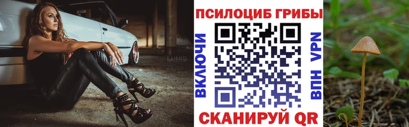 наркошоп блэк спрут tor Псилоцибиновые грибы Psilocybine cubensis Касли